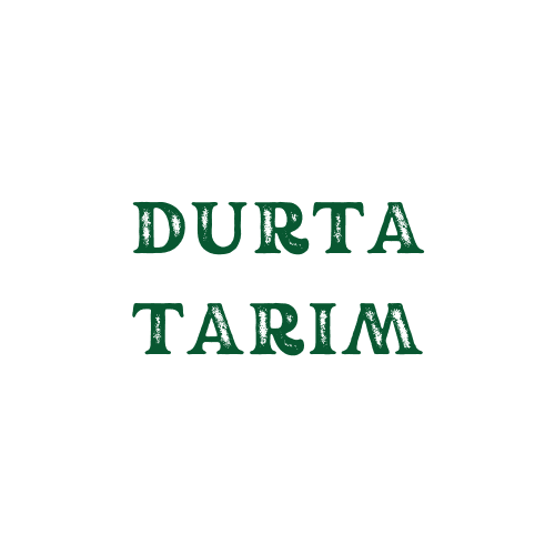Durta-Tarim